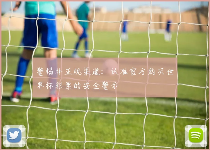 警惕非正规渠道：认准官方购买世界杯彩票的安全警示