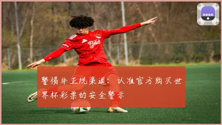 警惕非正规渠道：认准官方购买世界杯彩票的安全警示
